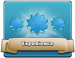 Experience