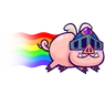 Evo Royal Hog Nyan Cat