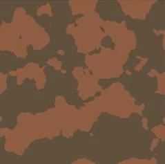 Camoimage7