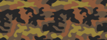 Camoimage2.png