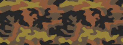 Camoimage2