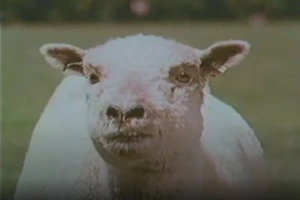 classic-television-commercials-19411970.fandom.com