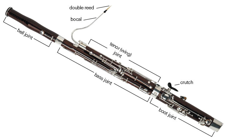 Bassoon | Classical Music Wiki | Fandom