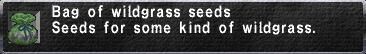 WildgrassSeeds.JPG.jpg