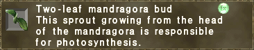 Two-leaf mandragora bud.png