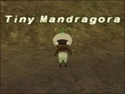 Tiny Mandragora Classic FFXI Community Fandom Latest