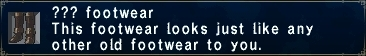 Unknown Footwear.png