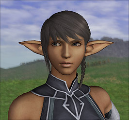 Final Fantasy XI Character Creation Guide - MMOPIXEL