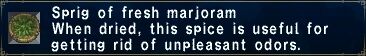 Fresh marjoram.jpg