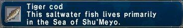 Tiger cod.jpg