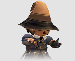 black mage ffxi