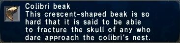 ColibriBeak.jpg