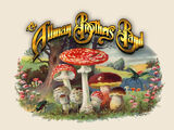 Allman Brothers Band