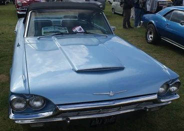 Ford Thunderbird front view