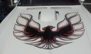 Black and red Firebird on White