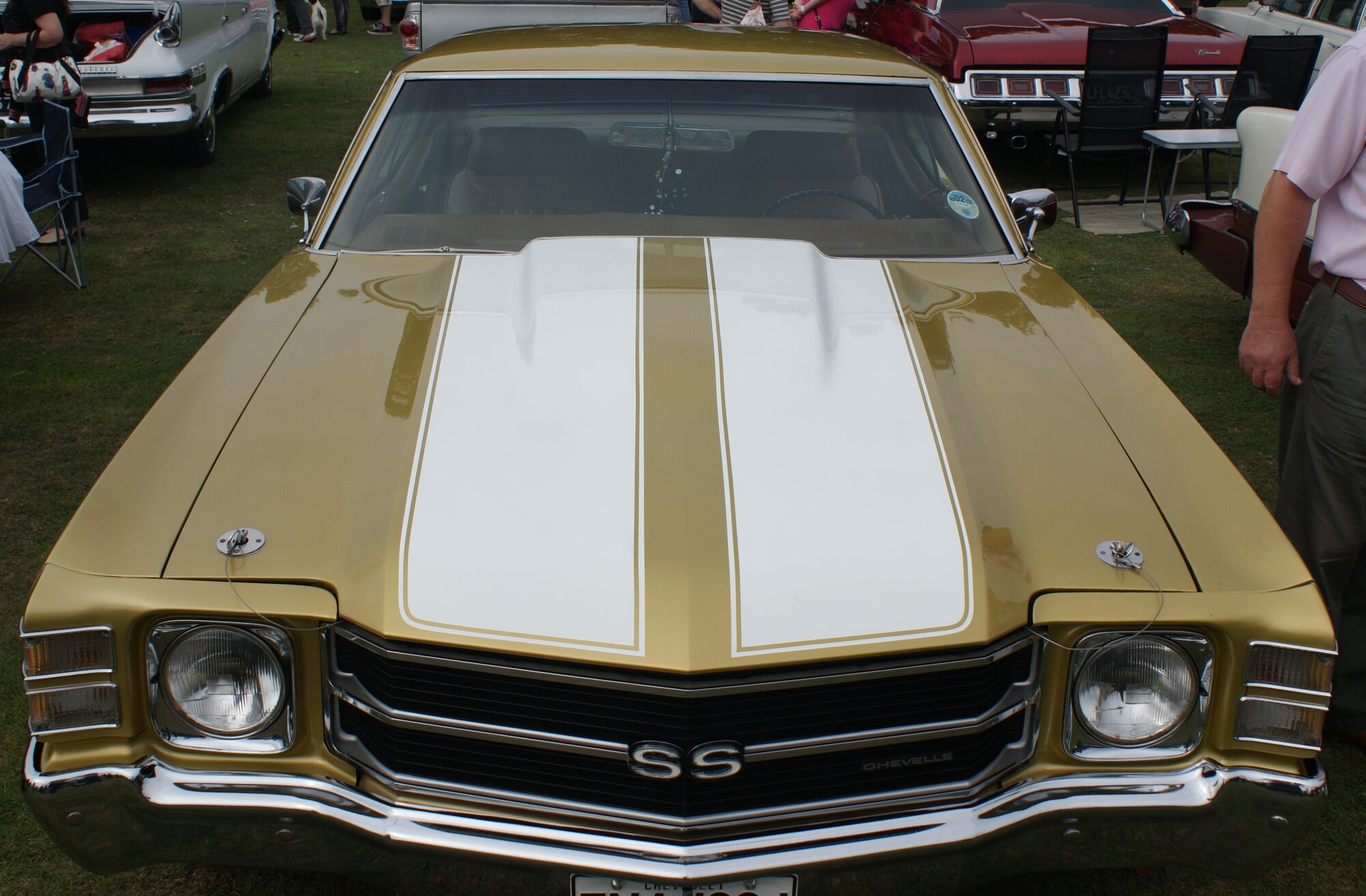 Chevrolet Chevelle | Classic Cars Wiki | Fandom