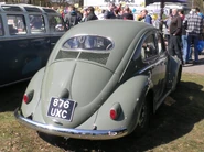 Oval window beetle