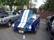 Blue Cobra