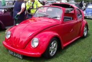 Targa roof beetle