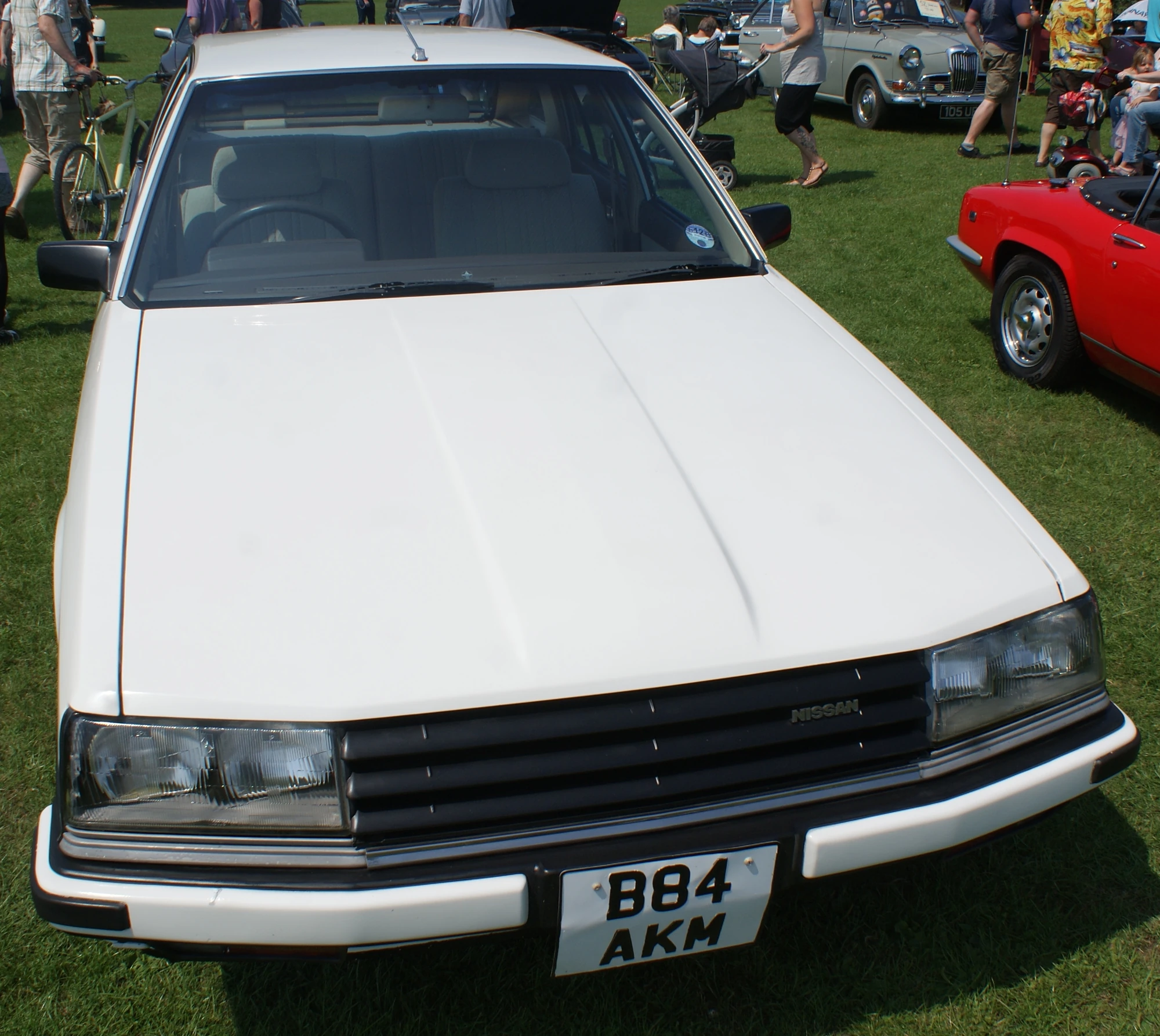 Nissan Skyline Classic Cars Wiki Fandom