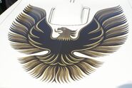 Black and Gold Firebird on White