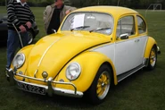 cool 2 tone bug