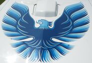 Blue Firebird on white hood