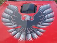 Grey Firebird on Red