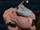 Sumo Santa