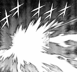 Renee es destruida
