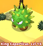 King Caperticus I think this might be the record for biggest cactus.