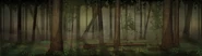 BG Forest Pan V3.png (3.24 MB)