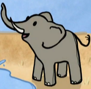 Elephant