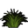 Small Grass