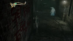 A spirit wandering a realm.