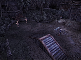Training Grounds