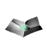 Sedetio, an item reminiscent of a green herb.