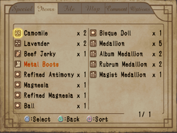 Fiona's items in the inventory.
