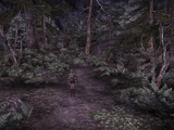 Chaos Forest