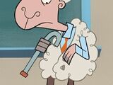 Mr. Sheepman