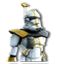 ARC Trooper Commander