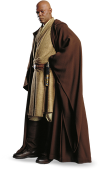 Macewindu detail