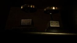 Eliza Fairfield's Shuffleboard Trophies.jpg