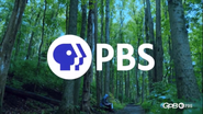 PBS New Logo