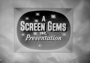 IMG 20191207 144313.jpg (1.45 MB)