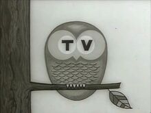 MTV Oy (1963-1968)