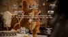 Garfield: A Tail of Two Kitties (2006)