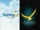 Wonderwings.com Entertainment