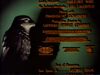 The Black Bird (1975)