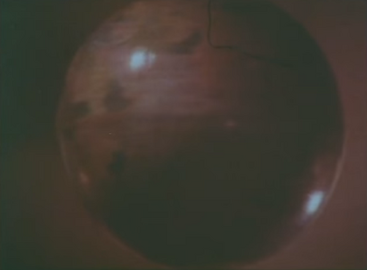 S.R. Movies International (1992)